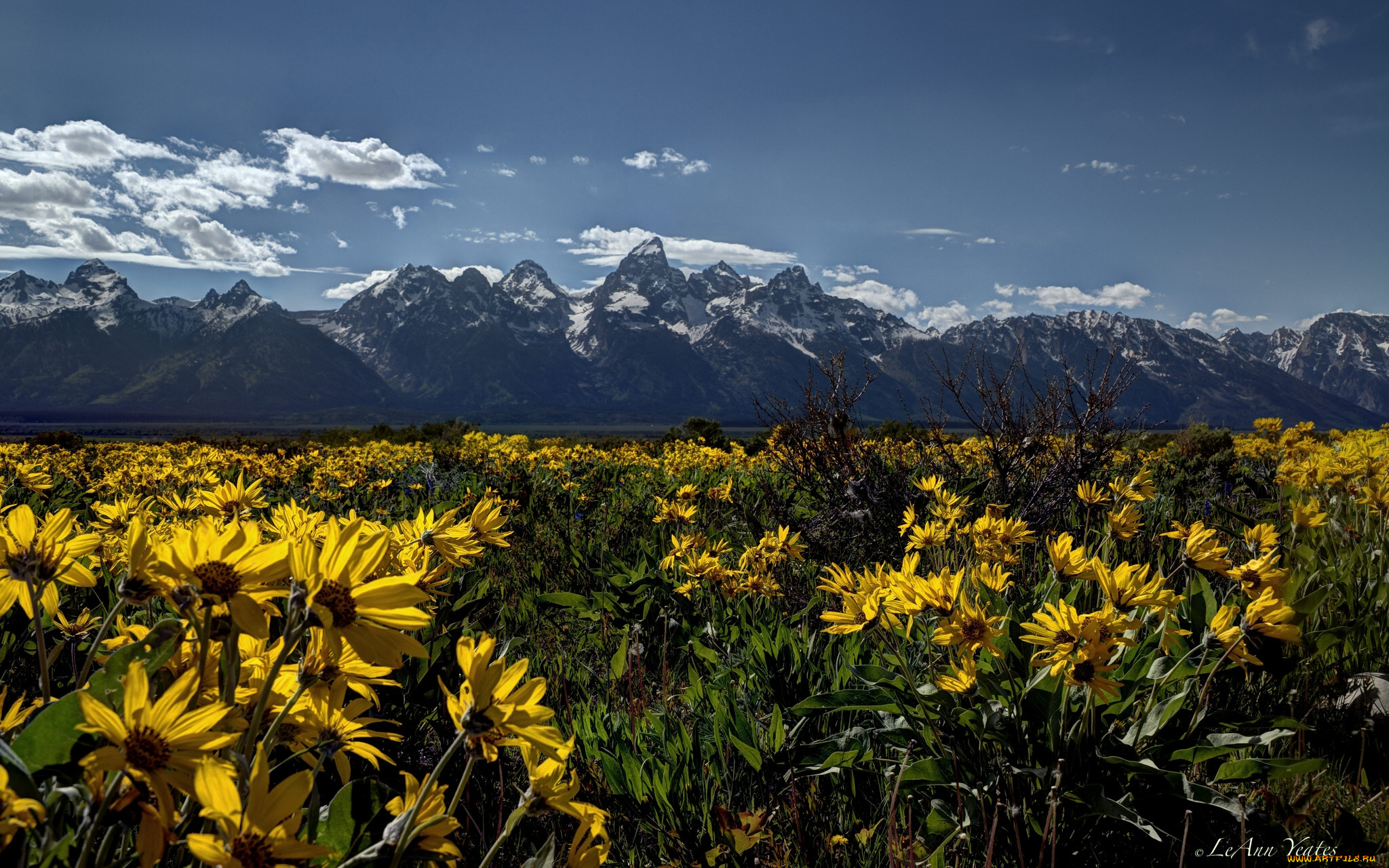 grand, teton, national, park, wyoming, , , , , , -